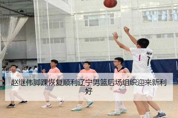 赵继伟脚踝恢复顺利辽宁男篮后场组织迎来新利好